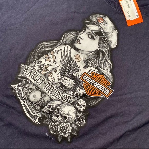 2016 Harley-Davidson St. John’s - Picture 4 of 6